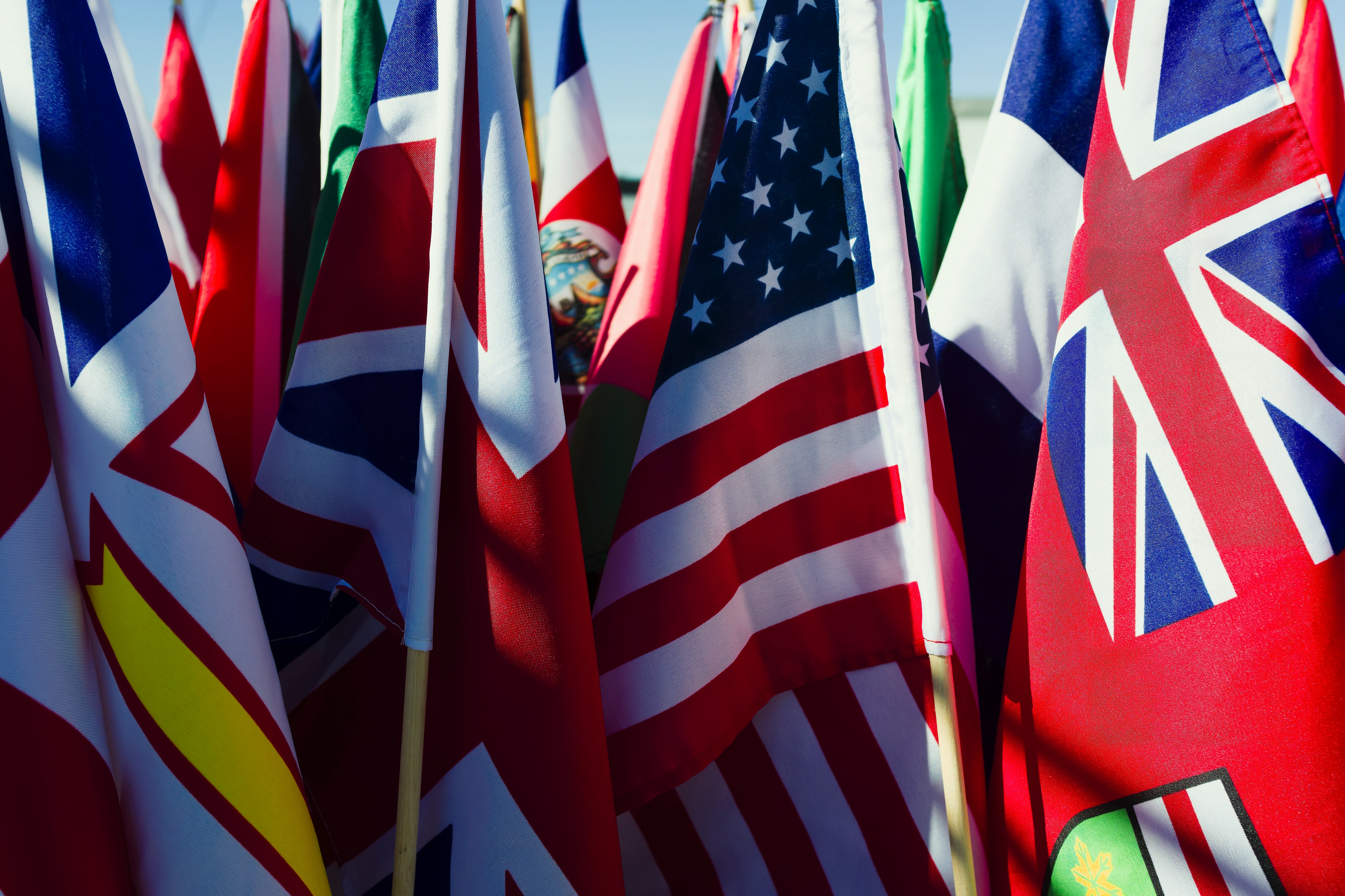 Display of Colorful National Flags on Sticks in the Daytime